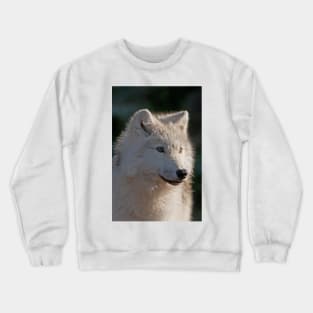 Arctic Wolf Crewneck Sweatshirt